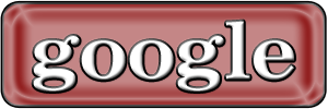 google Button 300x100