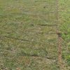 Retaining Walls (9)
